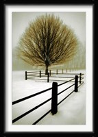 Solitude Fine Art Print