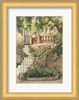 Courtyard in Provence Fine Art Print