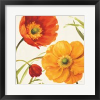 Poppies Melody II Framed Print