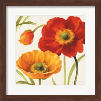 Poppies Melody III Fine Art Print