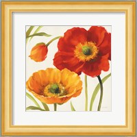 Poppies Melody III Fine Art Print