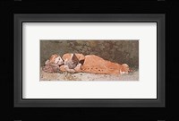 The New Novel Fine Art Print