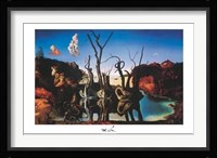 Swans Reflecting Elephants Fine Art Print