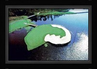 Determination Fine Art Print