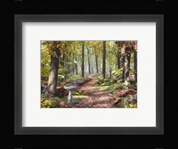 Forest Path Fine Art Print
