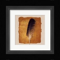Plume Fine Art Print