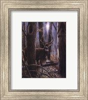 Woodland Sentry Fine Art Print