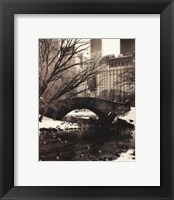 Central Park Bridges IV Fine Art Print