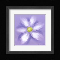 Daisy Framed Print