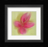 Lily Framed Print