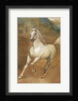 White Knight Fine Art Print