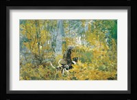 On The Trail Fine Art Print