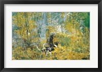 On The Trail Fine Art Print