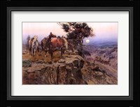 Innocent Allies Fine Art Print