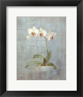 Elegant Orchids II Fine Art Print