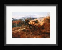 The Elk Fine Art Print