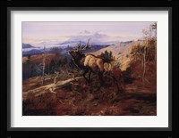 The Elk Fine Art Print