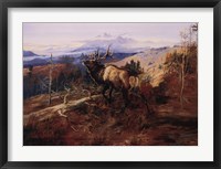 The Elk Fine Art Print