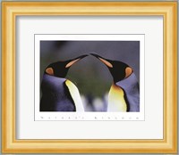 King Penguins Fine Art Print