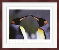 King Penguins Fine Art Print