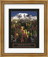 Serenity - Mt. Rainier Fine Art Print