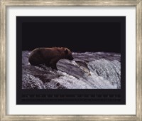 Grizzly Bear and Fish Fine Art Print