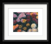 Chrysanthemum, 1897 Fine Art Print