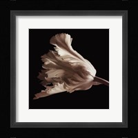 Tulip Fine Art Print