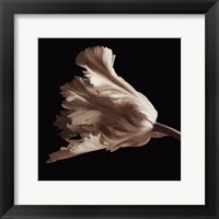 Tulip Fine Art Print