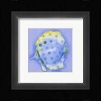 Spotted Fish Fine Art Print