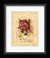 Poppy Perfection Fine Art Print