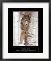 Wisdom - Gray Wolf Fine Art Print