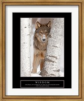 Wisdom - Gray Wolf Fine Art Print