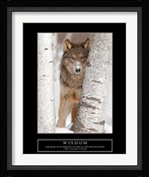 Wisdom - Gray Wolf Fine Art Print