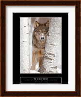 Wisdom - Gray Wolf Fine Art Print