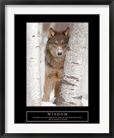 Wisdom - Gray Wolf Framed Print