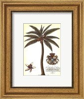 Palm and Crest I Fine Art Print