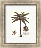 Palm and Crest I Fine Art Print