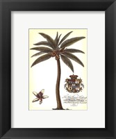 Palm and Crest I Fine Art Print