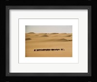 Camel Train, Mauritania Fine Art Print