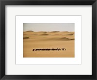 Camel Train, Mauritania Fine Art Print