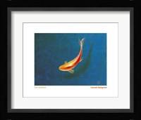 Goldfish Fine Art Print