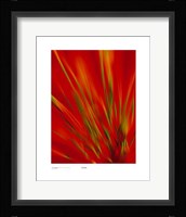 Flexi Grass, Bright Green On Red Fine Art Print