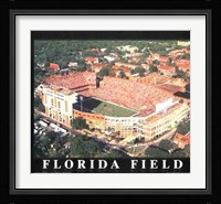 Florida Field - University Of Florida, G Fine Art Print