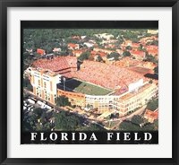 Florida Field - University Of Florida, G Fine Art Print