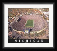 Michigan Stadium - University Of Michiga Fine Art Print