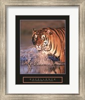 Excellence - Bengal Tiger Fine Art Print
