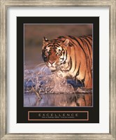 Excellence - Bengal Tiger Fine Art Print