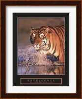 Excellence - Bengal Tiger Fine Art Print