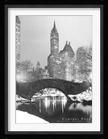 Central Park, 1961 Fine Art Print